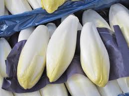 Endive